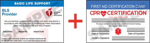 First Aid CPR Classes Knoxville CPR Certification Knoxville